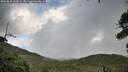 ./images/calvert/fitz-hugh-hecate/20260828/fitz-hugh-hecate20260828_144501M.jpg