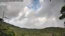 ./images/calvert/fitz-hugh-hecate/20260828/fitz-hugh-hecate20260828_145002M.jpg