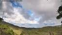 ./images/calvert/fitz-hugh-hecate/20260828/fitz-hugh-hecate20260828_153001M.jpg