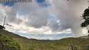 ./images/calvert/fitz-hugh-hecate/20260828/fitz-hugh-hecate20260828_153501M.jpg