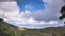 ./images/calvert/fitz-hugh-hecate/20260828/fitz-hugh-hecate20260828_154001M.jpg