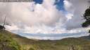 ./images/calvert/fitz-hugh-hecate/20260828/fitz-hugh-hecate20260828_155001M.jpg