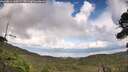 ./images/calvert/fitz-hugh-hecate/20260828/fitz-hugh-hecate20260828_160001M.jpg