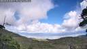 ./images/calvert/fitz-hugh-hecate/20260828/fitz-hugh-hecate20260828_164502M.jpg