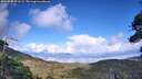 ./images/calvert/fitz-hugh-hecate/20260828/fitz-hugh-hecate20260828_171502M.jpg