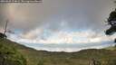 ./images/calvert/fitz-hugh-hecate/20260828/fitz-hugh-hecate20260828_174001M.jpg