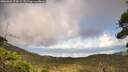./images/calvert/fitz-hugh-hecate/20260828/fitz-hugh-hecate20260828_174501M.jpg