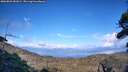 ./images/calvert/fitz-hugh-hecate/20260828/fitz-hugh-hecate20260828_181002M.jpg