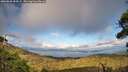 ./images/calvert/fitz-hugh-hecate/20260828/fitz-hugh-hecate20260828_184502M.jpg