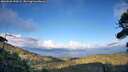 ./images/calvert/fitz-hugh-hecate/20260828/fitz-hugh-hecate20260828_190501M.jpg