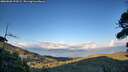 ./images/calvert/fitz-hugh-hecate/20260828/fitz-hugh-hecate20260828_193502M.jpg