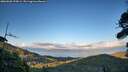 ./images/calvert/fitz-hugh-hecate/20260828/fitz-hugh-hecate20260828_194501M.jpg