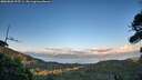 ./images/calvert/fitz-hugh-hecate/20260828/fitz-hugh-hecate20260828_195501M.jpg