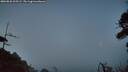 ./images/calvert/fitz-hugh-hecate/20260828/fitz-hugh-hecate20260828_205501M.jpg