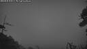 ./images/calvert/fitz-hugh-hecate/20260828/fitz-hugh-hecate20260828_210501M.jpg
