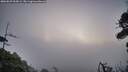 ./images/calvert/fitz-hugh-hecate/20260829/fitz-hugh-hecate20260829_063002M.jpg