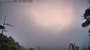 ./images/calvert/fitz-hugh-hecate/20260829/fitz-hugh-hecate20260829_071001M.jpg