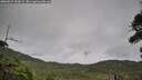 ./images/calvert/fitz-hugh-hecate/20260829/fitz-hugh-hecate20260829_100001M.jpg