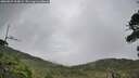 ./images/calvert/fitz-hugh-hecate/20260829/fitz-hugh-hecate20260829_105001M.jpg