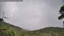 ./images/calvert/fitz-hugh-hecate/20260829/fitz-hugh-hecate20260829_105501M.jpg