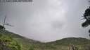 ./images/calvert/fitz-hugh-hecate/20260829/fitz-hugh-hecate20260829_110001M.jpg