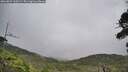 ./images/calvert/fitz-hugh-hecate/20260829/fitz-hugh-hecate20260829_110501M.jpg