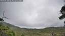 ./images/calvert/fitz-hugh-hecate/20260829/fitz-hugh-hecate20260829_114501M.jpg