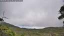 ./images/calvert/fitz-hugh-hecate/20260829/fitz-hugh-hecate20260829_115501M.jpg