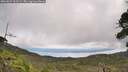 ./images/calvert/fitz-hugh-hecate/20260829/fitz-hugh-hecate20260829_122501M.jpg