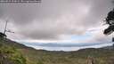 ./images/calvert/fitz-hugh-hecate/20260829/fitz-hugh-hecate20260829_124501M.jpg