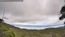 ./images/calvert/fitz-hugh-hecate/20260829/fitz-hugh-hecate20260829_125001M.jpg