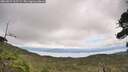 ./images/calvert/fitz-hugh-hecate/20260829/fitz-hugh-hecate20260829_125501M.jpg