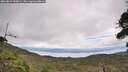 ./images/calvert/fitz-hugh-hecate/20260829/fitz-hugh-hecate20260829_130001M.jpg