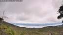 ./images/calvert/fitz-hugh-hecate/20260829/fitz-hugh-hecate20260829_130501M.jpg