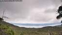 ./images/calvert/fitz-hugh-hecate/20260829/fitz-hugh-hecate20260829_131501M.jpg
