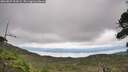 ./images/calvert/fitz-hugh-hecate/20260829/fitz-hugh-hecate20260829_132002M.jpg