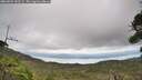 ./images/calvert/fitz-hugh-hecate/20260829/fitz-hugh-hecate20260829_132502M.jpg
