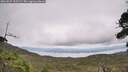 ./images/calvert/fitz-hugh-hecate/20260829/fitz-hugh-hecate20260829_135501M.jpg
