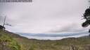 ./images/calvert/fitz-hugh-hecate/20260829/fitz-hugh-hecate20260829_140502M.jpg