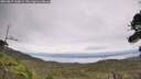 ./images/calvert/fitz-hugh-hecate/20260829/fitz-hugh-hecate20260829_144002M.jpg