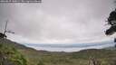 ./images/calvert/fitz-hugh-hecate/20260829/fitz-hugh-hecate20260829_145001M.jpg