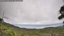 ./images/calvert/fitz-hugh-hecate/20260829/fitz-hugh-hecate20260829_145501M.jpg