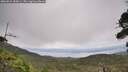 ./images/calvert/fitz-hugh-hecate/20260829/fitz-hugh-hecate20260829_150001M.jpg