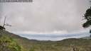 ./images/calvert/fitz-hugh-hecate/20260829/fitz-hugh-hecate20260829_150502M.jpg