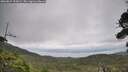 ./images/calvert/fitz-hugh-hecate/20260829/fitz-hugh-hecate20260829_155002M.jpg