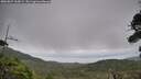 ./images/calvert/fitz-hugh-hecate/20260829/fitz-hugh-hecate20260829_160002M.jpg