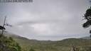 ./images/calvert/fitz-hugh-hecate/20260829/fitz-hugh-hecate20260829_170001M.jpg