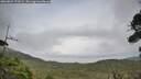 ./images/calvert/fitz-hugh-hecate/20260829/fitz-hugh-hecate20260829_170501M.jpg