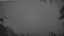 ./images/calvert/fitz-hugh-hecate/20260830/fitz-hugh-hecate20260830_061501M.jpg