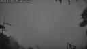 ./images/calvert/fitz-hugh-hecate/20260830/fitz-hugh-hecate20260830_062001M.jpg